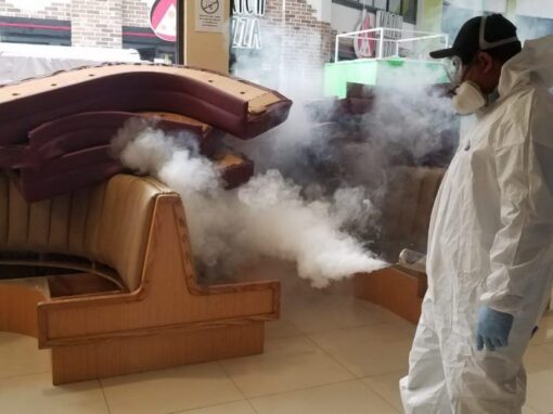 IMG-20200402-WA0017-1024x576