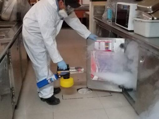 IMG-20200402-WA0023-576x1024