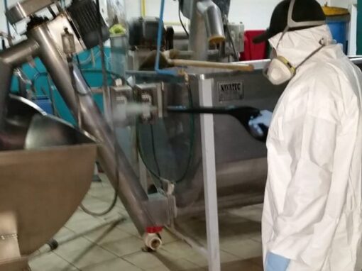 serviplagas-coronavirus-2-683x1024